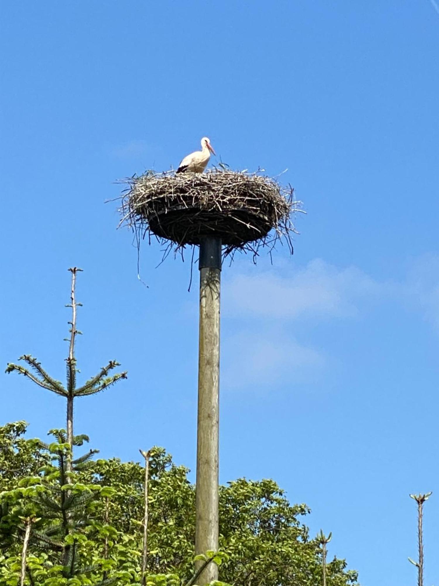 Hébergement de vacances Xantenamera In Xanten-wardt Am